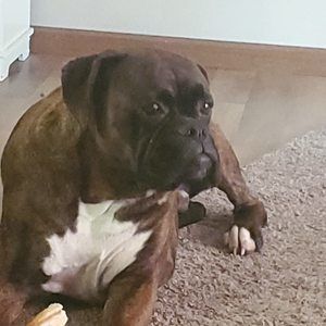 Meet your Posher, Cheryl